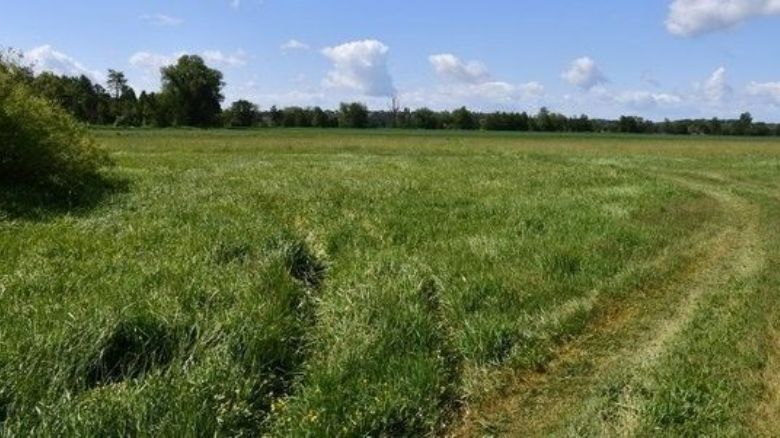 Nová cyklostezka v Plzni - gondolový most a trasa bez kopců