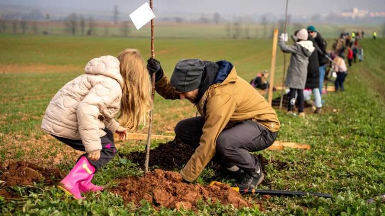 Nové granty na výsadbu stromů: až 140 000 Kč pro obce a školy!