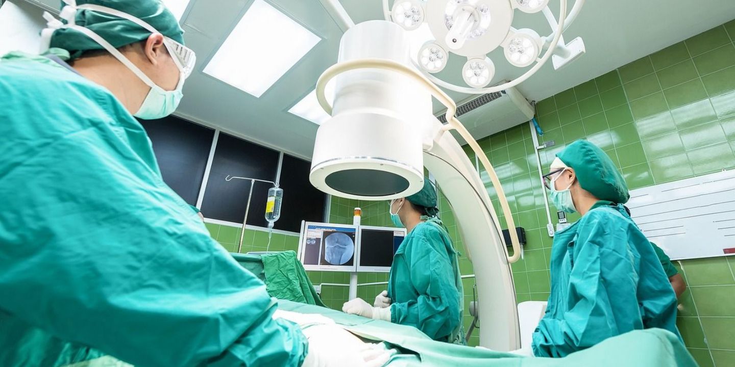 Průlom v medicíně - prasečí plíce úspěšně transplantována do člověka