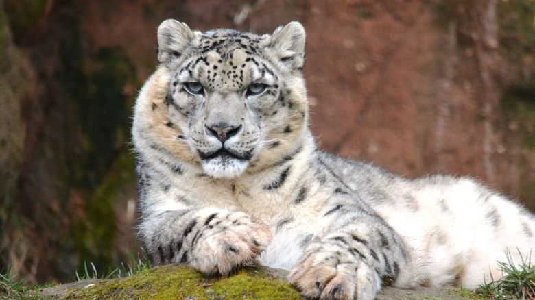 Plzeňská zoo láká na novinky