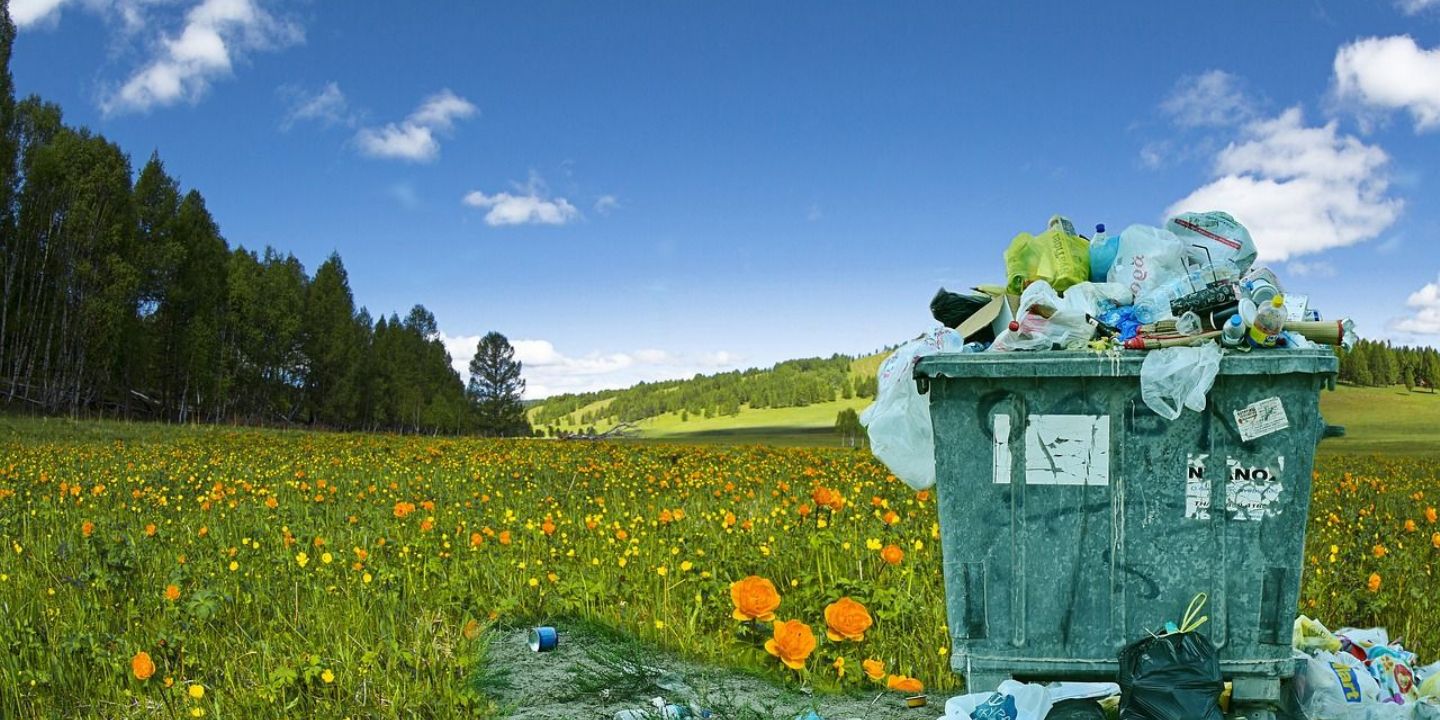 Ekologická transformace - klíč k podnikatelskému úspěchu