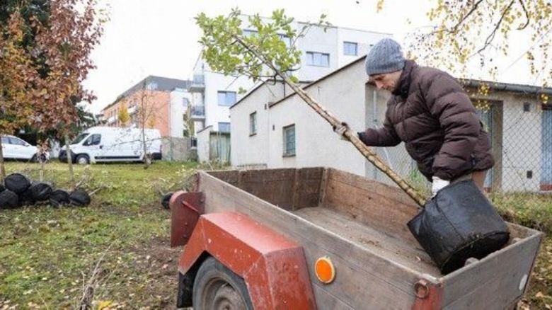 Plzeň: Projekt 2025 přinese 700 ovocných stromů a dotace až 3 tisíce Kč