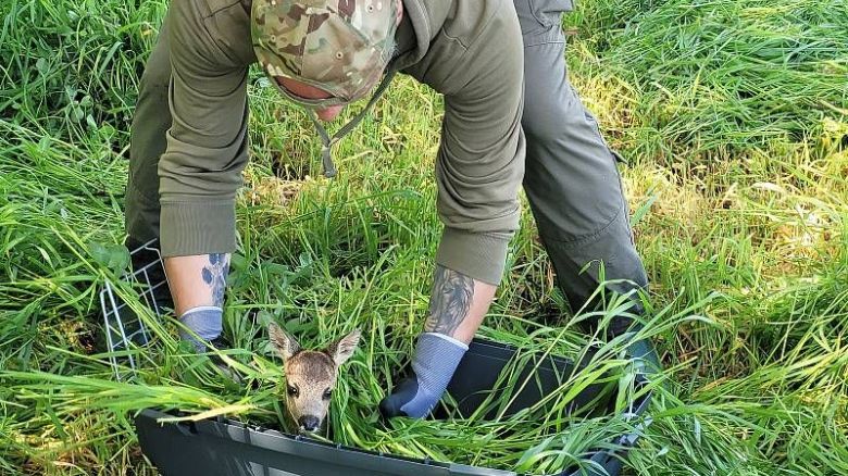 Spolek zachraňuje srnčata drony