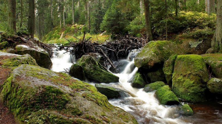 Šumava láká na nové tratě